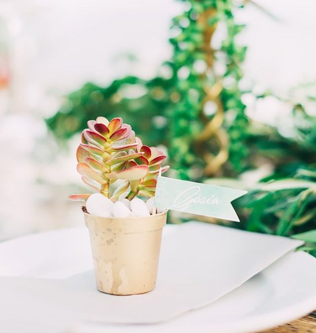 Unique and Cute Wedding Favors